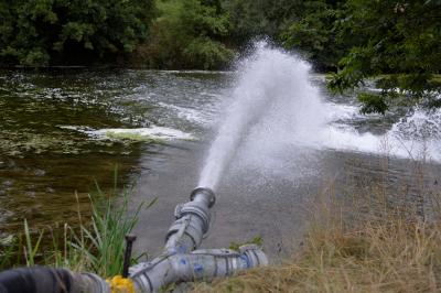 Grosseinsatz in mehreren Landkreisen aufgrund von verseuchter Jagst - Giftblase toetet Fische